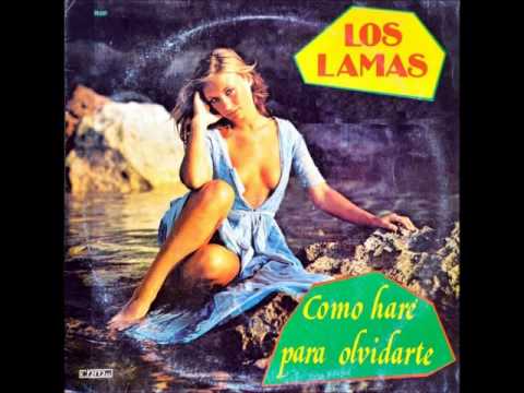 Como Haré Para Olvidarte video