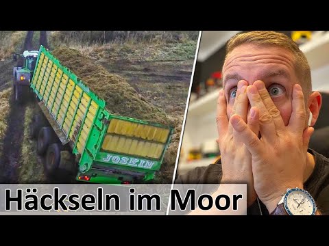 Häckseln im MOOR! Ladewagen kippt fast um & Gigantische Ernte in Bulgarien - M4cM4nus reagiert