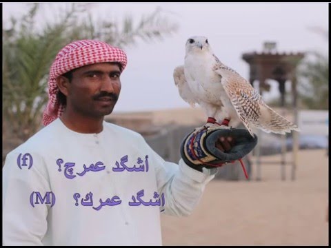 Iraqi Arabic dialect - greetings اللهجة العراقية