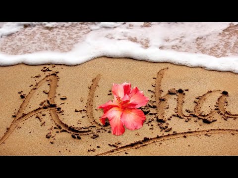 Mutirões do Plantio Havaí 2020 - Plantation Work Week 2020