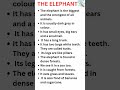 Essay On Elephant In English Short Essay On Elephant Essay Elephant