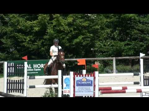 Napoleon d'Bonneville (webstallions.com)