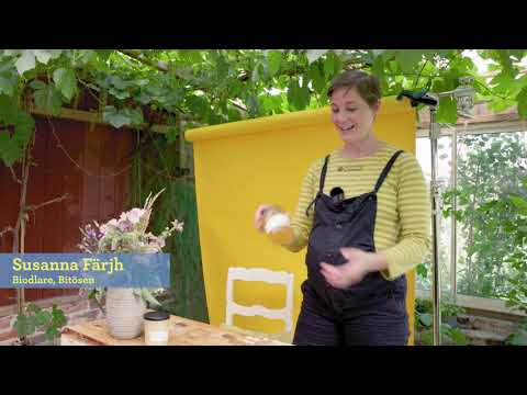 Biodlaren Susanna Färgh om hur honung blir till – från kupa till burk.