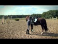 Reiten Lernen So Lernst Du Reiten
