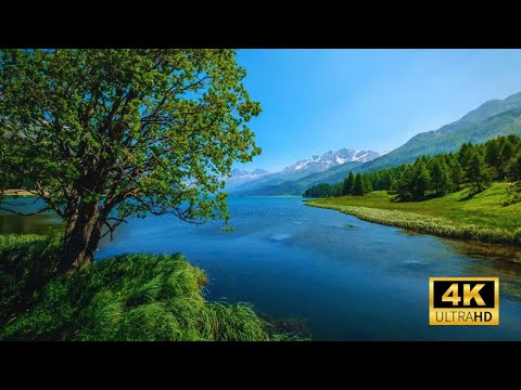 Enchanted pool in the spring forest at night - Crickets, Gentle Water, Light Wind Sounds for Relax