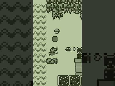 Unlocking Mario Land's Secret 2nd Quest