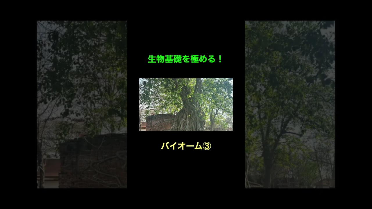 77バイオーム３ #生物基礎