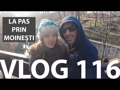 LA PAS PRIN MOINEȘTI