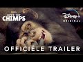 Meet The Chimps | Officiële trailer | Disney+