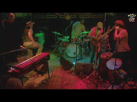 Jon Cleary & The Absolute Monster Gentlemen - 11/22/2025 - Maple Leaf Bar Live