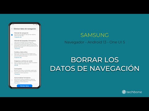 Borrar los Datos de Navegación - Samsung [Android 13 - One UI 5]