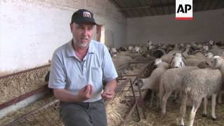 Sheep farmer goes online to sell animals for Eid al-Adha