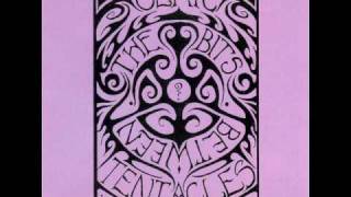Ozric Tentacles -  Health Music.divx