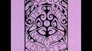 Ozric Tentacles -  Health Music.divx