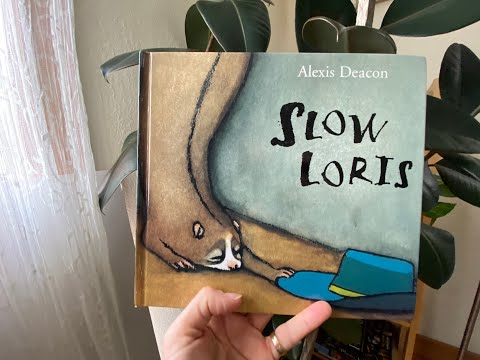 Story time: Slow Loris