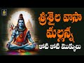 శ్రీశైల వాసా మల్లన్న God Shiva Songs 2024 Srisailam Mallanna Son