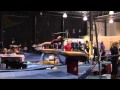 Amber Tylee 2013 Flip Into Spring Meet Amityville Elite Gym Level 6 Vault