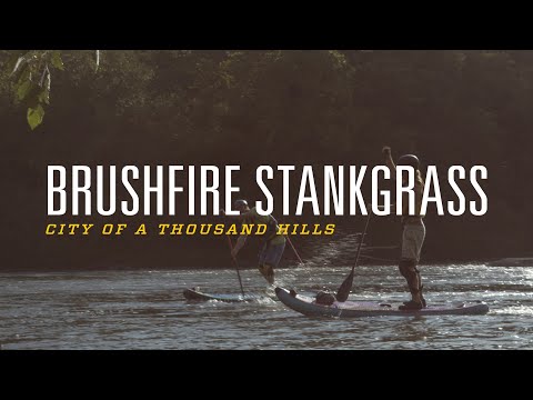 Brushfire Stankgrass - Standing