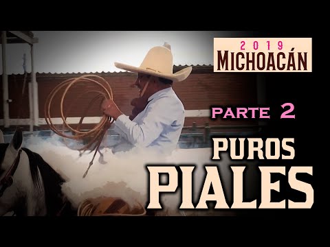 Pure PIALES on the CANVAS part 2 - Morelia Congress 2019