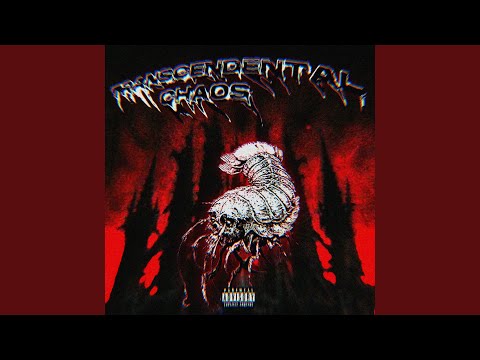 TRANSCENDENTAL CHAOS