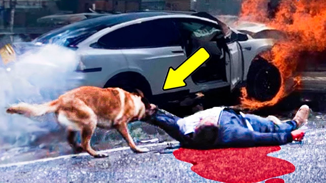 Man Abandons Dog, Minutes Later Something Shocking Happened....