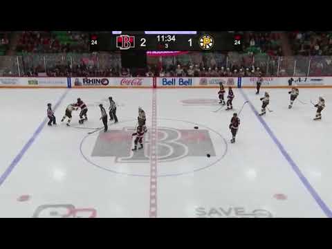 Matt Beleskey vs Andreas Englund