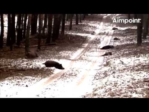 download lagu mp3 mp4 Aimpoint Video Chasse, download lagu Aimpoint Video Chasse gratis, unduh video klip Aimpoint Video Chasse