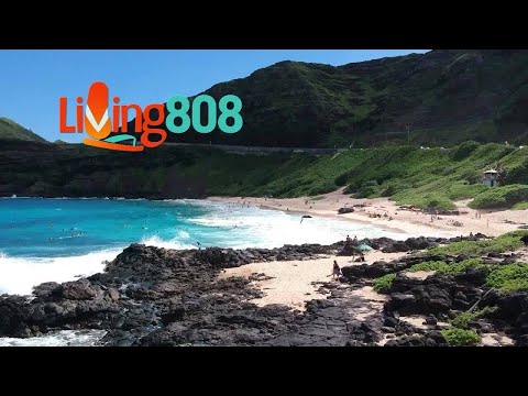 Health Korea Launches a Big Black Friday Deal at Ala Moana Center