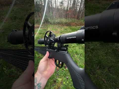 Crosman 362 (Full Review) .22 Caliber Multi Pump Air Rifle / Single Shot