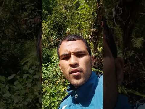 Ghadi 2 Rabin Lamichhane (Hatma Ghadi cha ) New lokdohori song 2077 || by Parshuram Ghimire Parashar