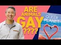 Is Being Gay Natural Because Of Gay Animals A Christian Response To Queer Planet