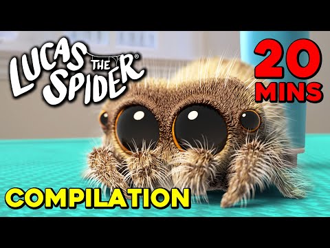 Another 20 Minute Compilation of Lucas the Spider Episodes!