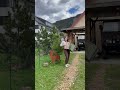 Die Sterne am Himmel - steirische Harmonika (BEsAsDes)