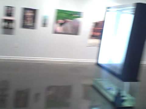 ANDRES SERRANO PICKS DETROIT at the CENTER GALLERIES