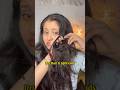 No More Dry Rough Hair Youtubeshorts Haircare Ytshort Shorts