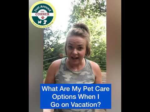 What Are My Pet Care Options When I Go on Vacation?