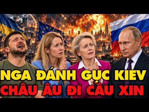 Nga nã hỏa lực đánh gục Kiev, Zelensky bật khóc, EU hoảng loạn tìm người đàm phán với Putin