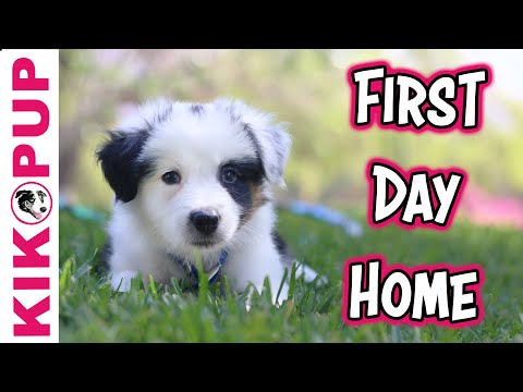 STOP UNWANTED behaviors with BACK UP