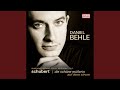 Die schone Mullerin, Op. 25, D. 795: No. 12. Pause