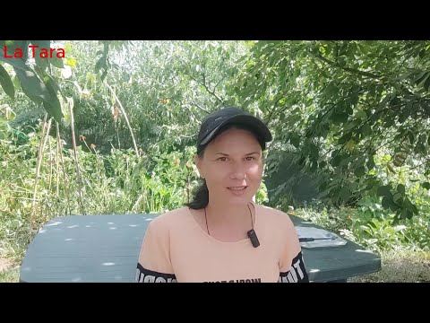 După 13 ani de trai la țară. Vindem semințe și produse ?