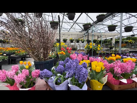 First Walk Through Cherry Valley Gardens: Preparing For Spring In My Favorite Garden Center!