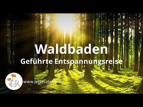 10-minute guided relaxation journey | Forest bathing | Relax and let go | Mindfulness exercise