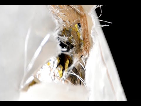 Inspection of damage caused by the impact of orbital debris in Canadarm2 -SSRMS on the ISS  09-16-21