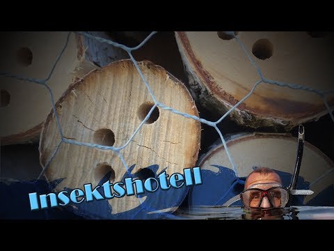 Vi bygger ett Insektshotell