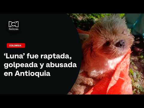 ‘Luna’ fue raptada, golpeada y abusada en Antioquia: perdió la vida a causa de las lesiones