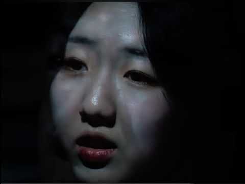 비디오 17