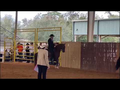 Valenciano de La Tuna ~ New Year Paso Festival