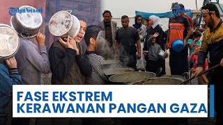 Kondisi Gizi di Gaza Masuki Tahap Kerawanan Pangan Fase 5 Sangat Ekstrem, Ratusan Ribu Kelaparan