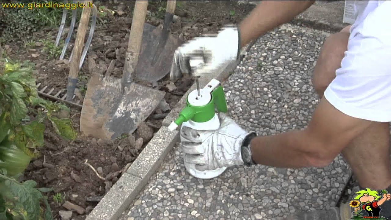 la disinfestazione del terreno