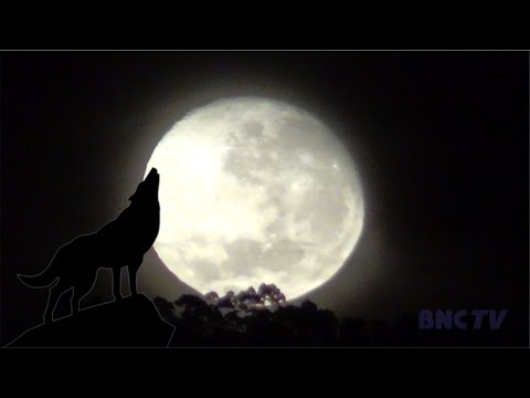 Lua Cheia "Lua do Lobo" : A primeira de 2022